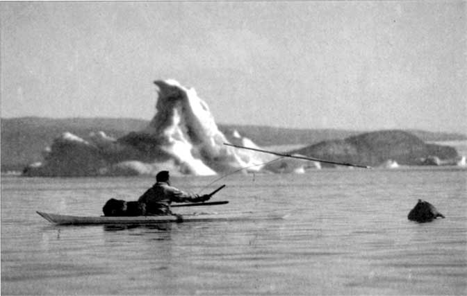 Иллюстрация к книге — Коллапс. Почему одни общества приходят к процветанию, а другие – к гибели [i_031.jpg]