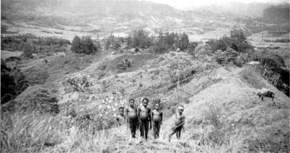 Иллюстрация к книге — Коллапс. Почему одни общества приходят к процветанию, а другие – к гибели [i_032.jpg]