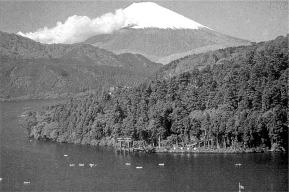 Иллюстрация к книге — Коллапс. Почему одни общества приходят к процветанию, а другие – к гибели [i_033.jpg]