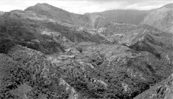 Иллюстрация к книге — Коллапс. Почему одни общества приходят к процветанию, а другие – к гибели [i_036.jpg]