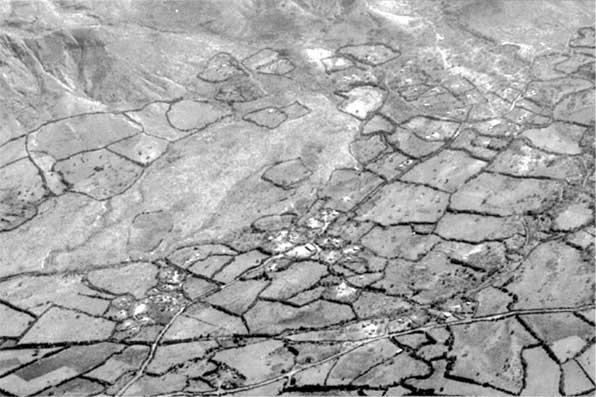 Иллюстрация к книге — Коллапс. Почему одни общества приходят к процветанию, а другие – к гибели [i_037.jpg]