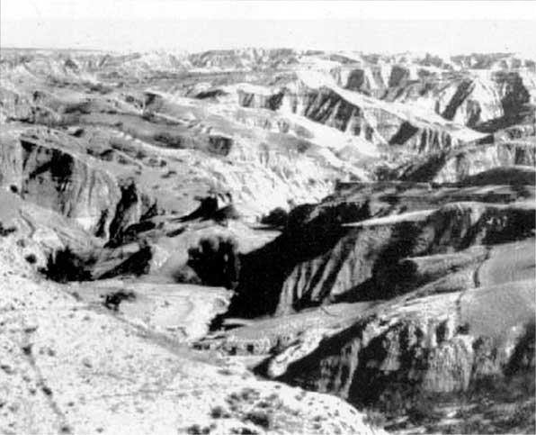 Иллюстрация к книге — Коллапс. Почему одни общества приходят к процветанию, а другие – к гибели [i_039.jpg]