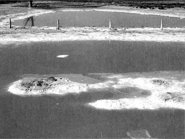 Иллюстрация к книге — Коллапс. Почему одни общества приходят к процветанию, а другие – к гибели [i_041.jpg]