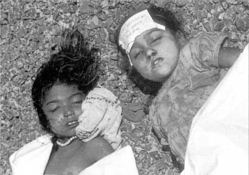 Иллюстрация к книге — Коллапс. Почему одни общества приходят к процветанию, а другие – к гибели [i_047.jpg]