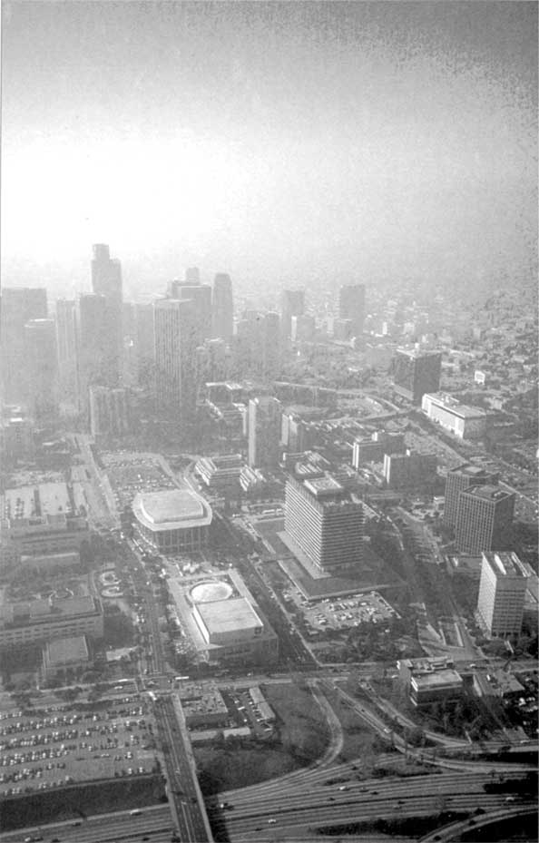 Иллюстрация к книге — Коллапс. Почему одни общества приходят к процветанию, а другие – к гибели [i_051.jpg]