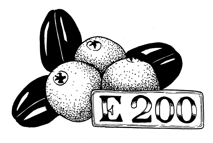 Иллюстрация к книге — Страшная химия. Еда с Е-шками: из чего делают нашу еду и почему не стоит ее бояться [i_010.jpg]