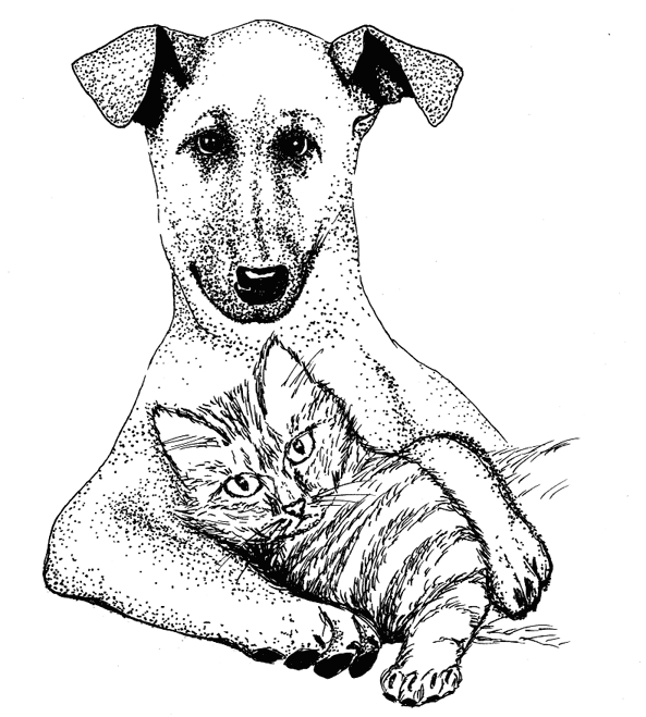 Иллюстрация к книге — Страшная химия. Еда с Е-шками: из чего делают нашу еду и почему не стоит ее бояться [i_023.jpg]