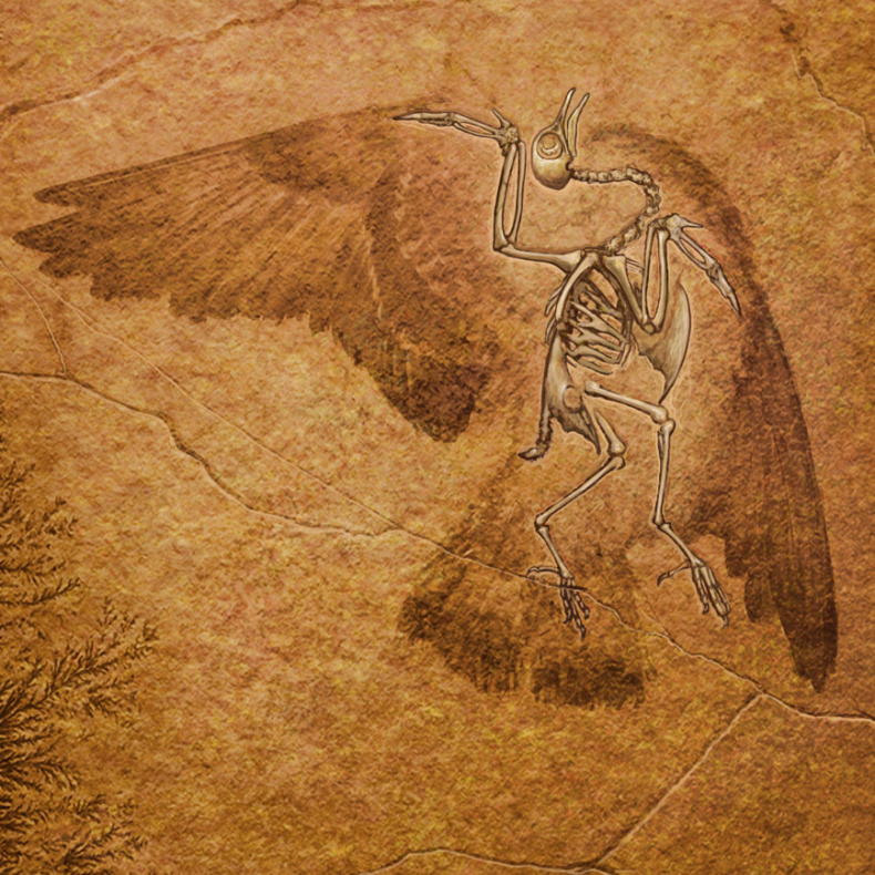 Иллюстрация к книге — История будущего. Что ждет Землю, Вселенную и человечество миллиарды лет спустя [i_002.jpg]