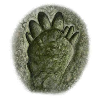 Иллюстрация к книге — История будущего. Что ждет Землю, Вселенную и человечество миллиарды лет спустя [i_045.jpg]