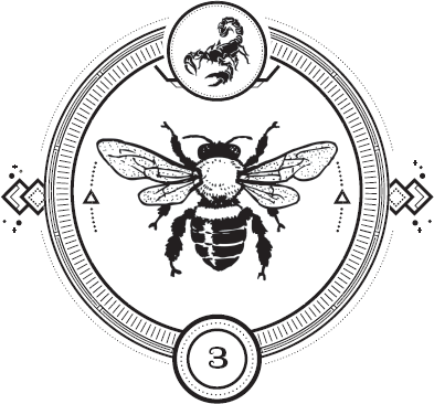 Иллюстрация к книге — Пандемониум. Орден Огненного Дракона [i_005.jpg]