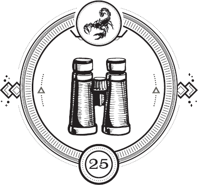 Иллюстрация к книге — Пандемониум. Орден Огненного Дракона [i_027.jpg]