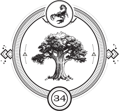 Иллюстрация к книге — Пандемониум. Орден Огненного Дракона [i_036.jpg]