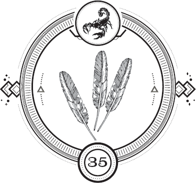 Иллюстрация к книге — Пандемониум. Орден Огненного Дракона [i_037.jpg]