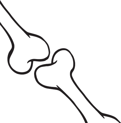 Иллюстрация к книге — Лжецы. Как врачи обманываются сами и невольно обманывают пациентов [i_025.jpg]