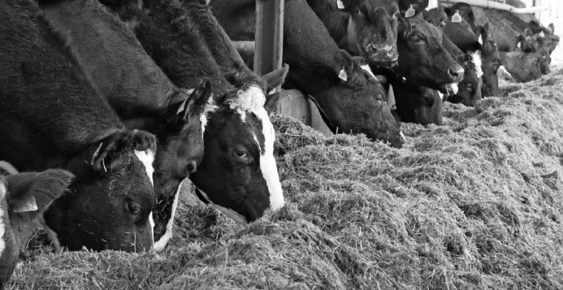 Иллюстрация к книге — Лжецы. Как врачи обманываются сами и невольно обманывают пациентов [i_028.jpg]