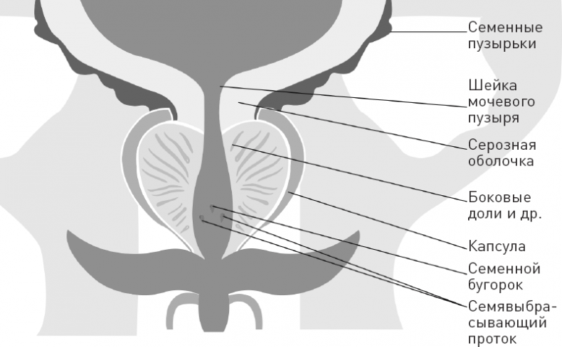 Иллюстрация к книге — Лжецы. Как врачи обманываются сами и невольно обманывают пациентов [i_049.jpg]