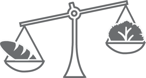 Иллюстрация к книге — Лжецы. Как врачи обманываются сами и невольно обманывают пациентов [i_063.jpg]