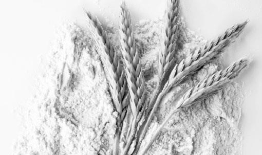 Иллюстрация к книге — Лжецы. Как врачи обманываются сами и невольно обманывают пациентов [i_086.jpg]