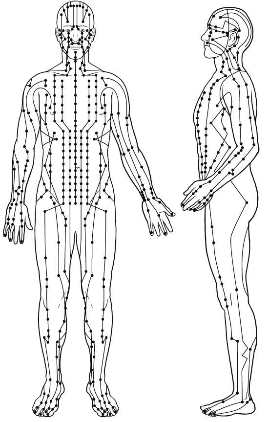 Иллюстрация к книге — Тонкие энергии для исцеления психологических травм, стресса и хронических заболеваний [i_003.jpg]