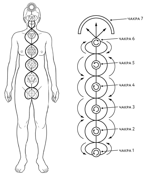 Иллюстрация к книге — Тонкие энергии для исцеления психологических травм, стресса и хронических заболеваний [i_004.jpg]