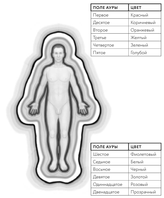 Иллюстрация к книге — Тонкие энергии для исцеления психологических травм, стресса и хронических заболеваний [i_005.jpg]