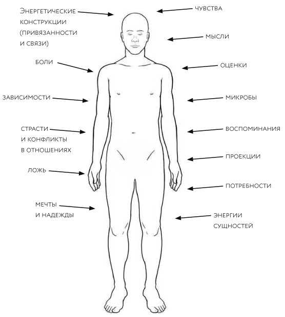 Иллюстрация к книге — Тонкие энергии для исцеления психологических травм, стресса и хронических заболеваний [i_006.jpg]