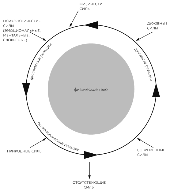 Иллюстрация к книге — Тонкие энергии для исцеления психологических травм, стресса и хронических заболеваний [i_007.jpg]