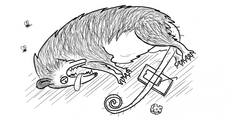 Иллюстрация к книге — Седьмая. Ливень юмора для тех, кто в дефиците позитива [i_020.jpg]