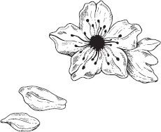 Иллюстрация к книге — Король: Вечный монарх. Зов судьбы [i_002.jpg]