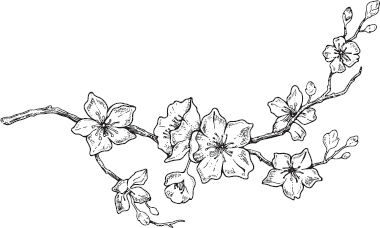 Иллюстрация к книге — Король: Вечный монарх. Зов судьбы [i_010.jpg]