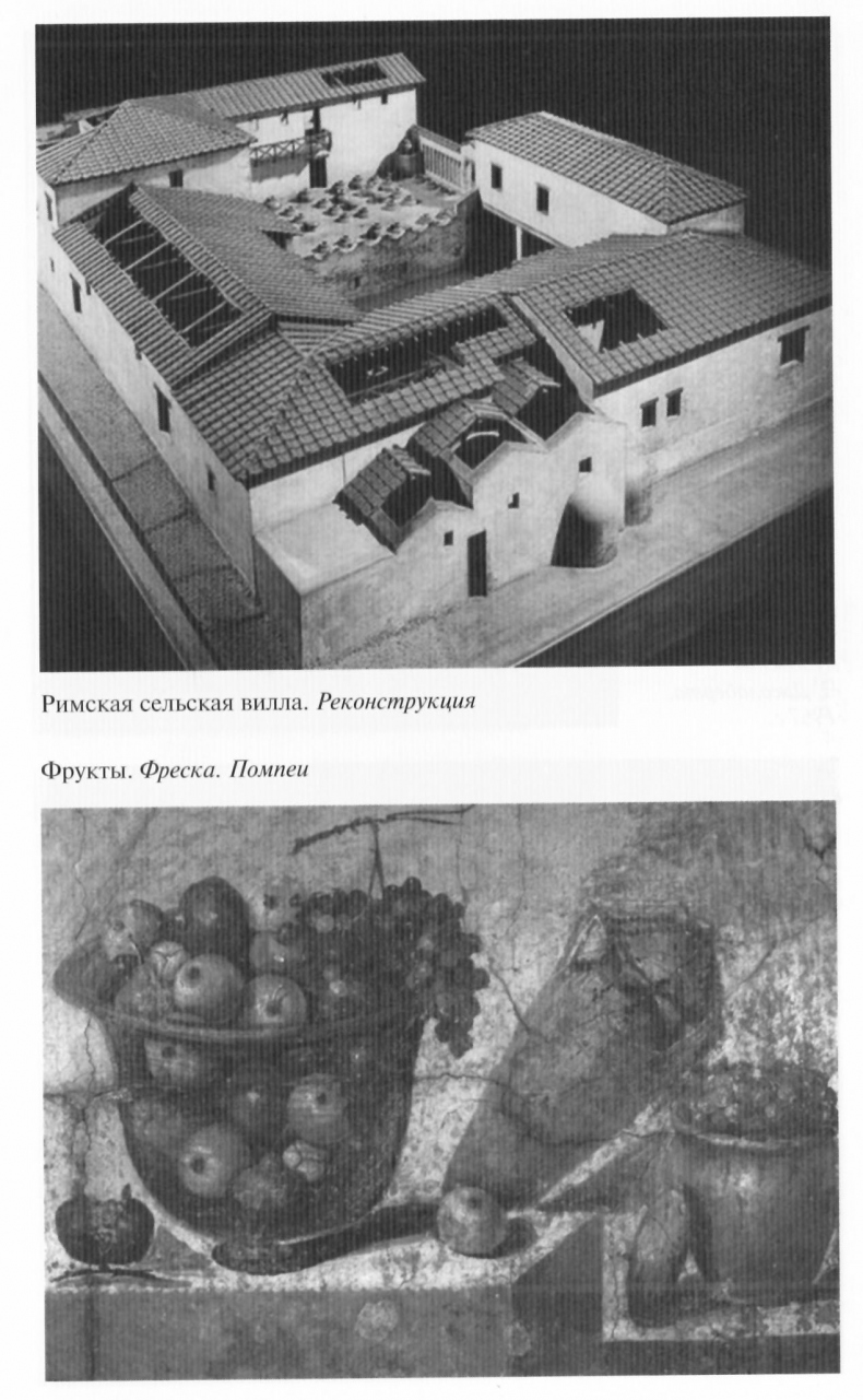 Иллюстрация к книге — Вергилий [ris_10.jpg]