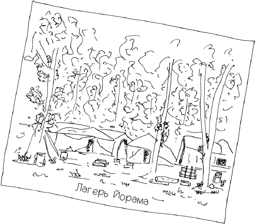 Иллюстрация к книге — Сумерки хищников [i_010.jpg]