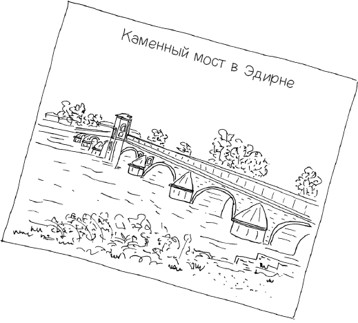 Иллюстрация к книге — Сумерки хищников [i_013.jpg]