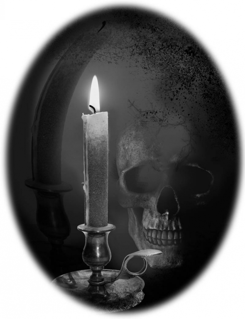 Иллюстрация к книге — Нэнси Дрю и символ Дерева ведьм [i_001.jpg]