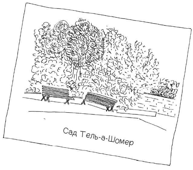 Иллюстрация к книге — Ночь, с которой все началось [img_23.jpg]