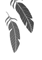 Иллюстрация к книге — Дом с сотней часов [i_022.jpg]