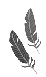 Иллюстрация к книге — Дом с сотней часов [i_035.jpg]