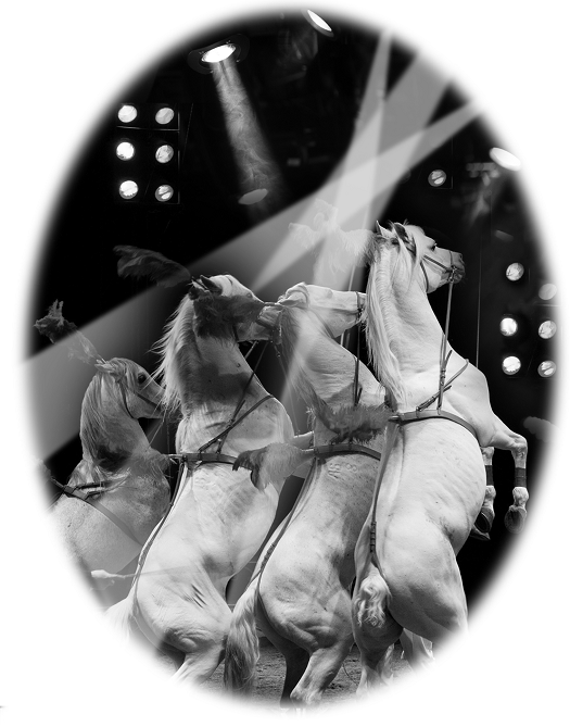 Иллюстрация к книге — Нэнси Дрю и дело в цирке [_01.jpg]