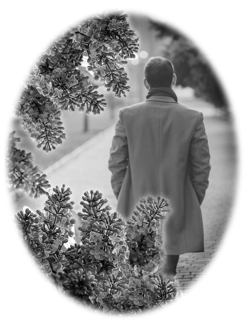 Иллюстрация к книге — Нэнси Дрю и дневник незнакомца [i_002.jpg]