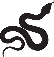 Иллюстрация к книге — Орлеан [i_001.jpg]