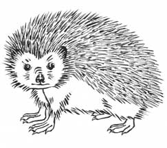 Иллюстрация к книге — Семь сестер. Сестра луны [i_001.jpg]