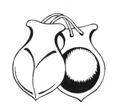 Иллюстрация к книге — Семь сестер. Сестра луны [i_002.jpg]