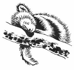 Иллюстрация к книге — Семь сестер. Сестра луны [i_005.jpg]