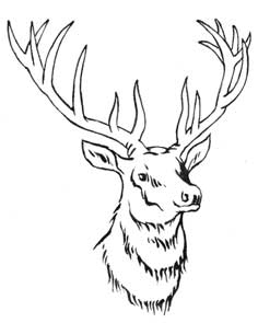 Иллюстрация к книге — Семь сестер. Сестра луны [i_007.jpg]