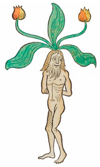 Иллюстрация к книге — Интимное средневековье. Истории о страсти и целомудрии, поясах верности и приворотных снадобьях [i_010.jpg]