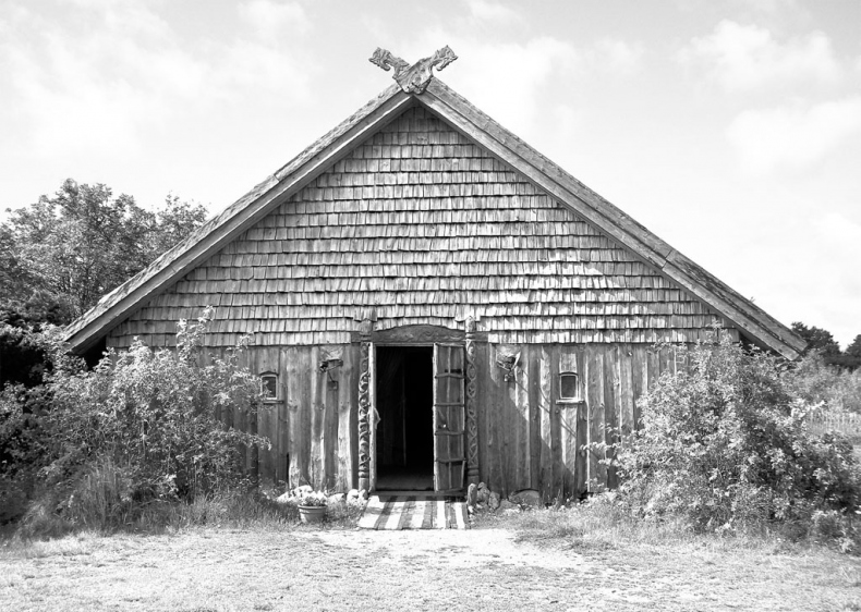 Иллюстрация к книге — Викинги. Полная история [i_013.jpg]