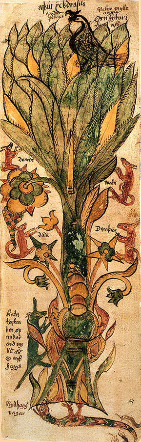 Иллюстрация к книге — Викинги. Полная история [i_105.jpg]