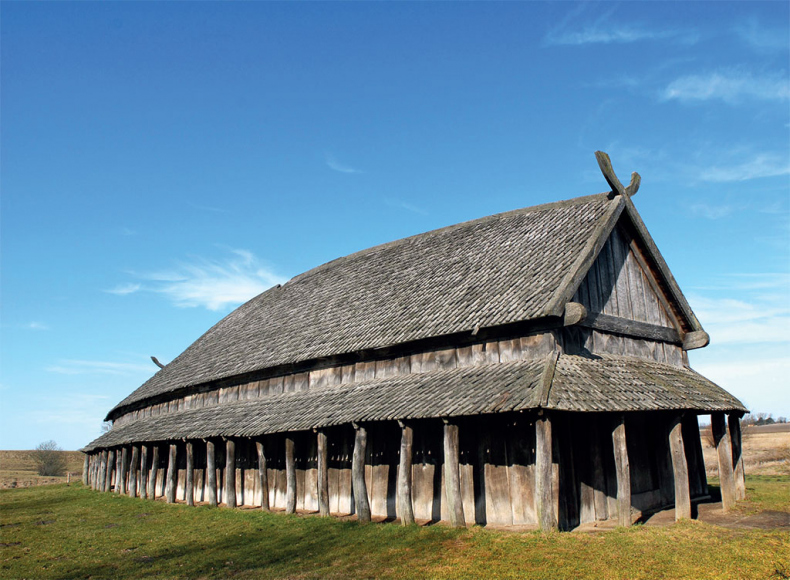 Иллюстрация к книге — Викинги. Полная история [i_151.jpg]