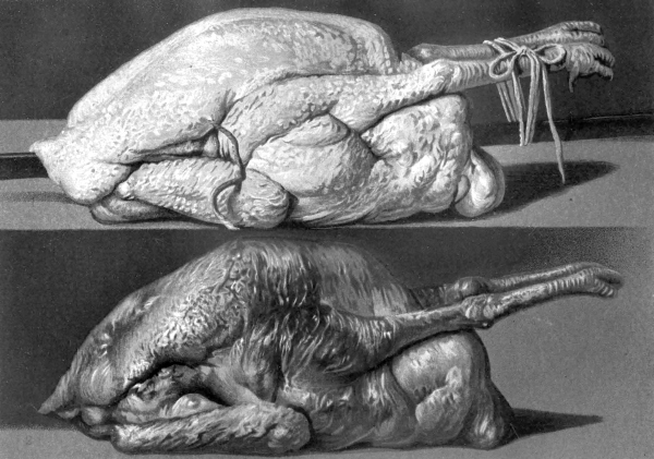 Иллюстрация к книге — Физиология вкуса [i_024.jpg]