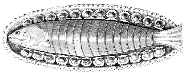 Иллюстрация к книге — Физиология вкуса [i_027.jpg]